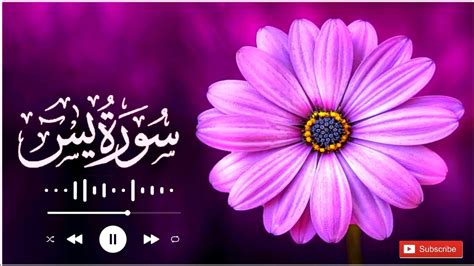 Surah Yasin Yaseen Full With Arabic Beautiful Recitation Youtube