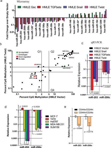 Low MiR 203 Expression Is Associated With EMT Claudin Low Breast