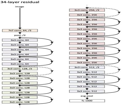 Structure Of Resnet50 [12] Download Scientific Diagram