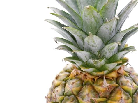 Bromelain Stock Photos, Royalty Free Bromelain Images | Depositphotos® 