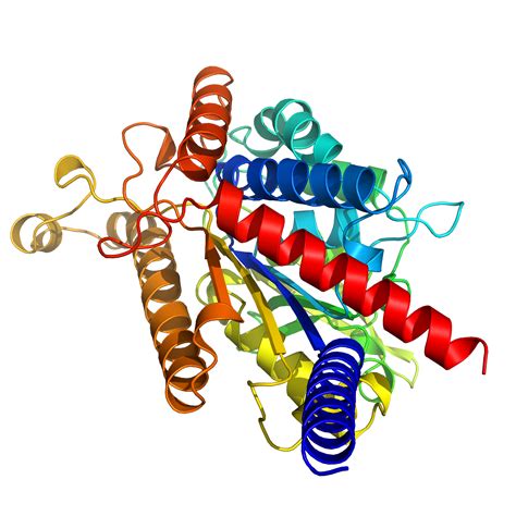 分子动力学模拟amber Gromacs Alphafold Csdn博客