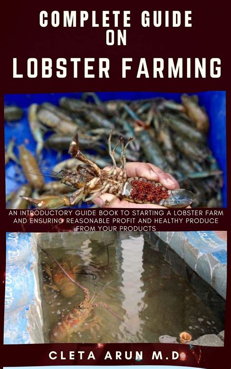 COMPLETE GUIDE ON LOBSTER FARMING: An Introductory Guide Book to ...