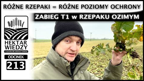 R Ne Rzepaki R Ne Poziomy Ochrony Zabieg T W Rzepaku Ozimym