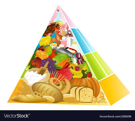 Food Pyramid Royalty Free Vector Image Vectorstock