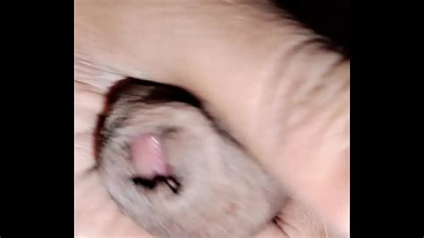 Asian Boy Dick Foreskin Free Mobile Porn Videos IPornTV