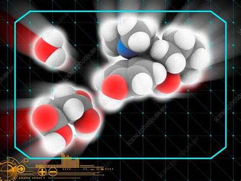 Desvenlafaxine succinate drug molecule - Stock Image - C030/1332 - Science Photo Library