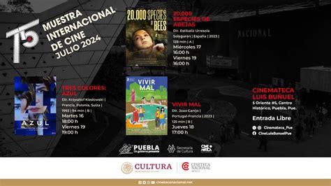 Exhibirá Casa De Cultura La 75 Muestra Internacional De Cine” Poder