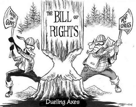 18 Best Bill Of Rights Images On Pinterest 2nd Amendment American