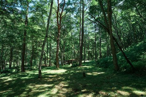 Ist Aokinodaira Field