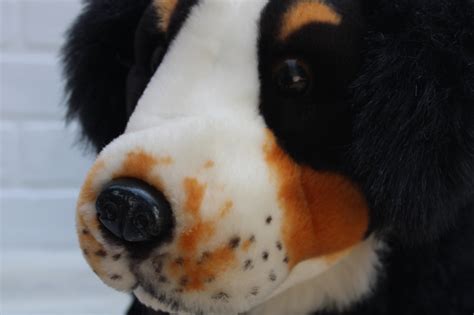 Australian Shepherd or Border Collie large stuffed toy dog, life size ...