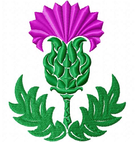 Scottish Thistle Symbol