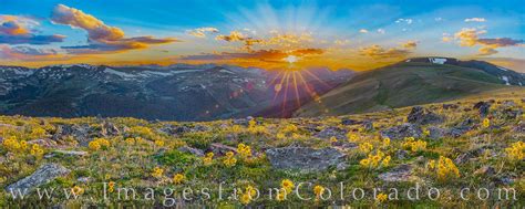 Rocky Mountain Wildflower Panorama 1 Rocky Mountain National Park