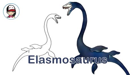 How To Draw An Elasmosaurus Easy Youtube