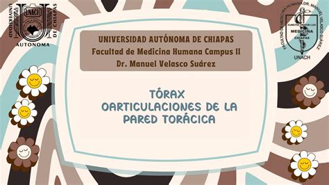 Articulaciones De La Pared Tor Cica Fernanda Udocz