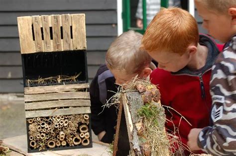 Отели для насекомых | Пикабу