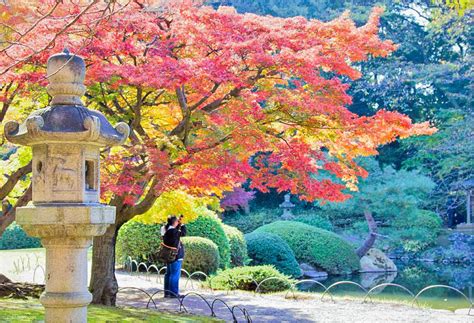 Autumn 2016: Shinjuku Gyoen – Lakbayer