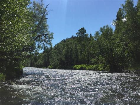 Protecting the Russian River | Defenders of Wildlife