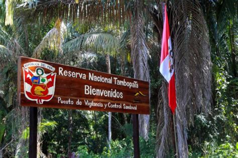 Puerto Maldonado Reserva Nacional De Tambopata