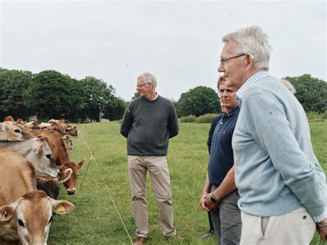 Howard Davis Farm Trust Contribute To The Replacement Of Cattle Lost At