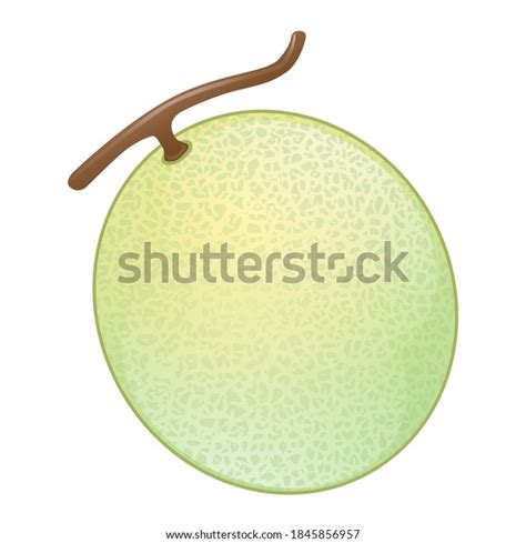 Melon Summer Fruit Emoji Vector Design Stock Vector (Royalty Free ...