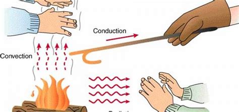 How is heat energy transferred? | Science online