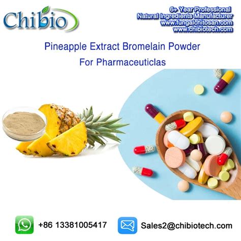 100% Pure 2400 - 2500 Gdu/g Organic Bromelain Extract Enzyme Powder For ...