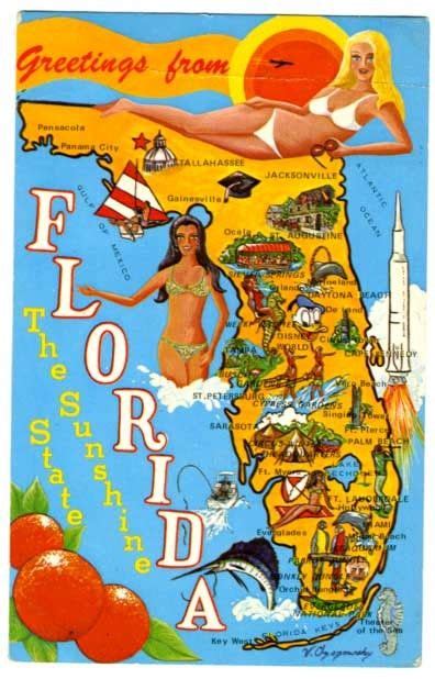 12 Florida Postcards Ideas Florida Postcard Vintage Florida