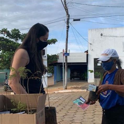 Meio Ambiente Blitz Educativa E Entrega De Mudas Em Alus O Ao Dia