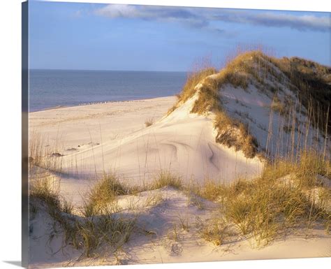 Coastal sand dunes, Saint Joseph Peninsula, Florida Wall Art, Canvas ...