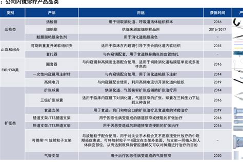 公司境外各地区营收情况 行业研究数据 小牛行研