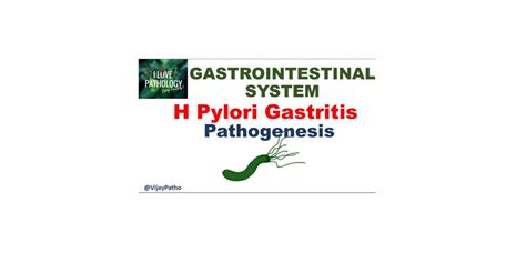 H Pylori Gastritis Pathology Made Simple