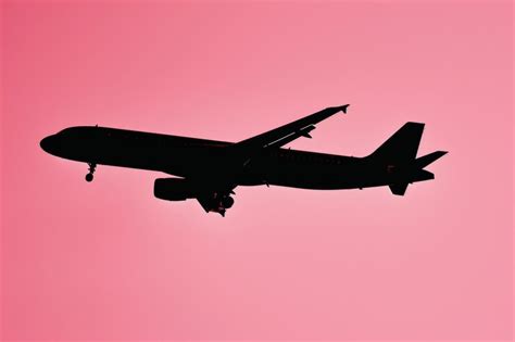 Premium Photo | Illustration outline of an airplane and heart on pink ...