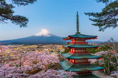 Z Tokio Prywatna wycieczka 1 dniowa na górę Fuji lub do Hakone