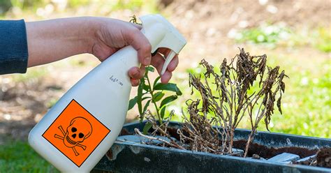 La vente de pesticides aux jardiniers amateurs est interdite à compter