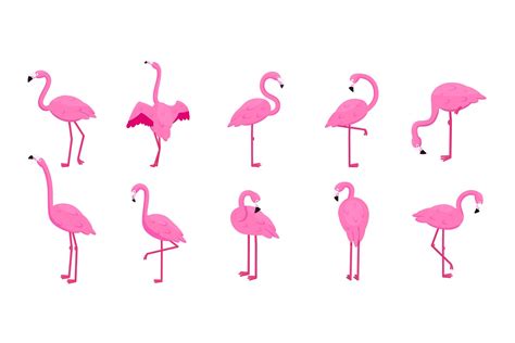 Cartoon Flamingo Set Tropical Cute Pink Birds In Different 2206203 Illustrations Design