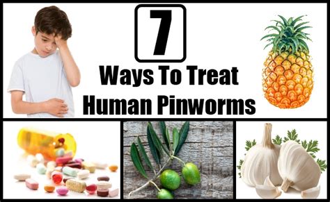 7 Ways To Treat Human Pinworms Home Remedy For Pinworms Natural Home Remedies And Supplements