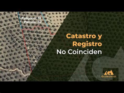 Diferencias Entre Catastro Y Registro De La Propiedad Cu L Es La