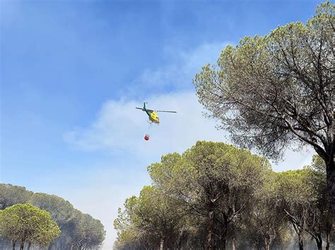 El fuego no da tregua al Parque Natural de Doñana