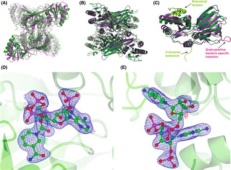 Structure‐based Design Synthesis And Biological Evaluation Of A Nad