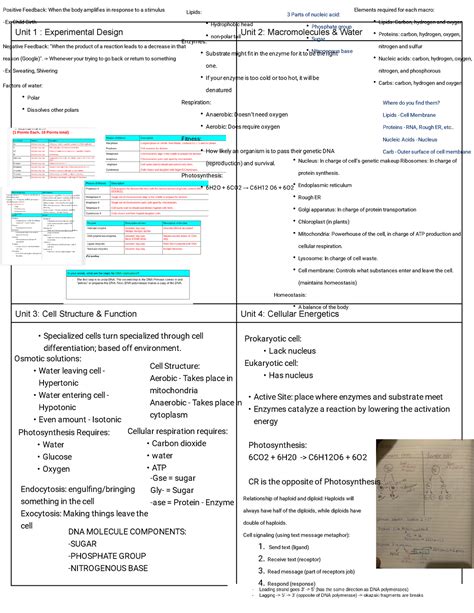 Kami Export Units 1 4 One Pager Unit 1 Experimental Design Unit 2