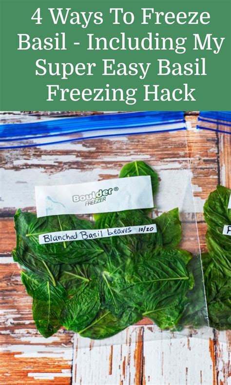 Ways To Freeze Basil Including My Easy Basil Freezing Hack