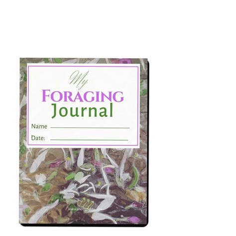 Foraging Journal 2 From An Off Grid Life