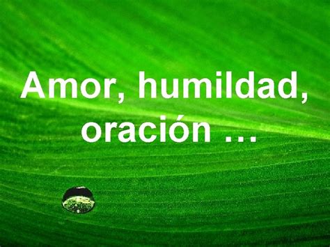 Amor Humildad Oracin Pensamientos Del Santo Hermano Miguel