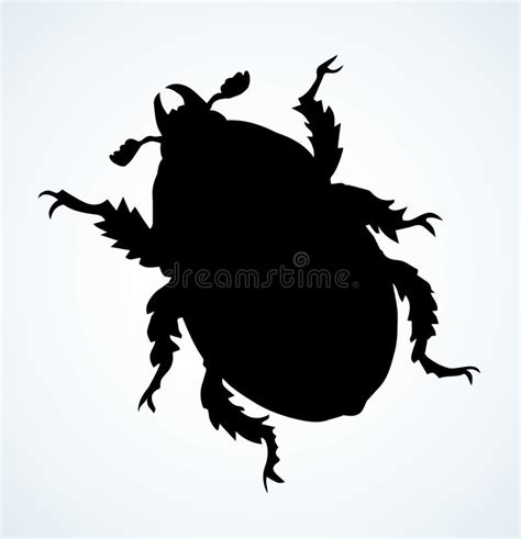 Chafer Vector Drawing Of A Big Beetle Stock Vector Illustration Of