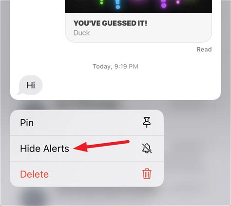 À quoi sert Masquer les alertes dans iMessage