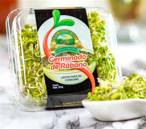 Disfruta De Sorprendentes Antojitos Mexicanos Con Germinados