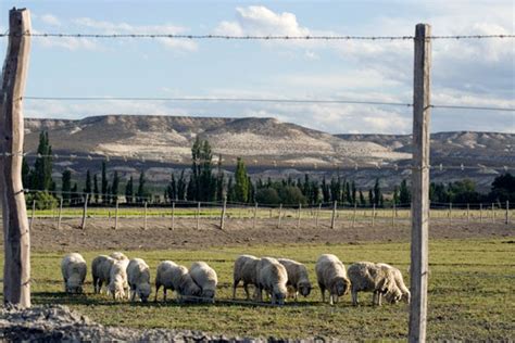 Trelew: it production - Trelew, Patagonia, Argentina.