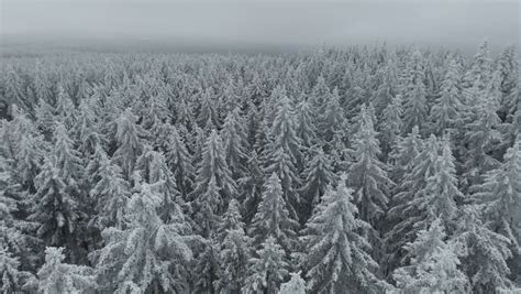 Nonstopnews Wei E Schneelandschaft Im Wald Drohnenaufnahmen Vom