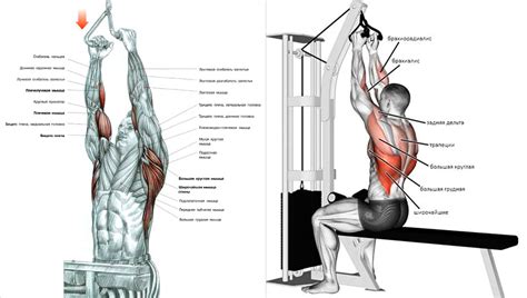 Тяга верхнего блока узким хватом к грудной: техника выполнения