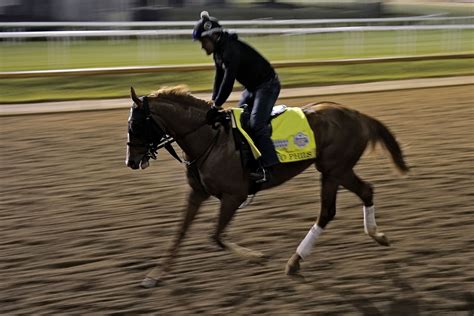 Kentucky Derby 2023: Odds, horses, complete bettor's guide